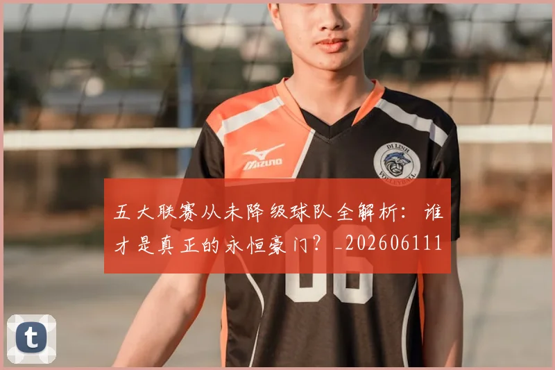 五大联赛从未降级球队全解析:谁才是真正的永恒豪门?_20260611141011