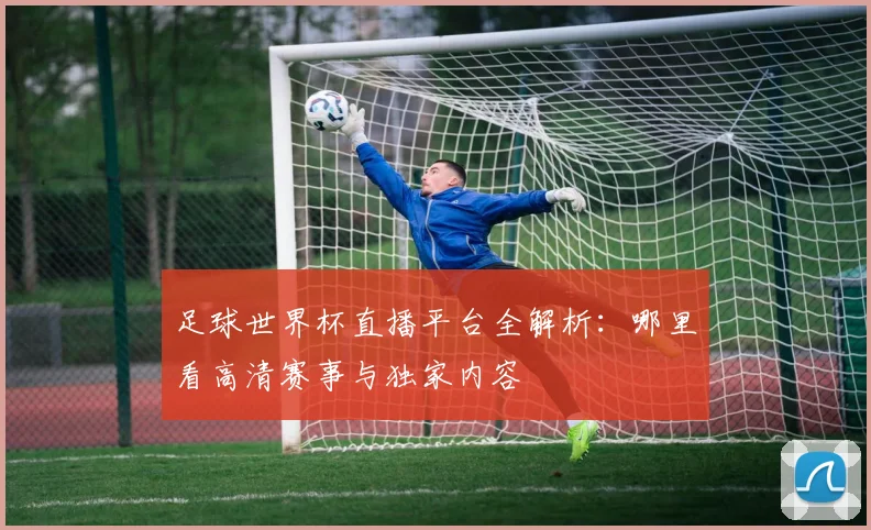 足球世界杯直播平台全解析:哪里看高清赛事与独家内容