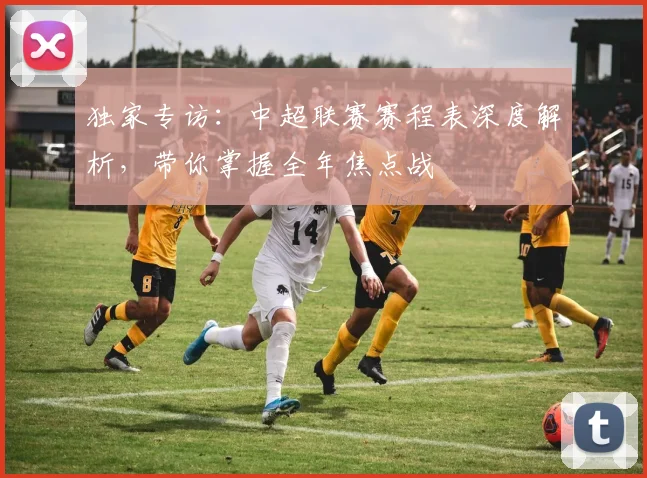 独家专访:中超联赛赛程表深度解析,带你掌握全年焦点战