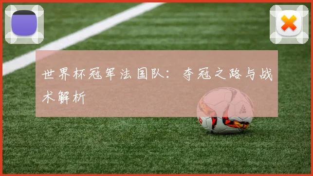 世界杯冠军法国队:夺冠之路与战术解析